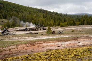 Yellowstone Ulusal Parkı 'ndaki Yukarı Gayzer Havzası' nda büyük bir bizon yatıyor ve uyuyor. Old Faithful, Wyoming yakınlarında çekilmiş kaliteli bir fotoğraf..