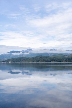Bir sürü yeşillik ve sisli Washington eyalet dağlarının kasvetli ve manzaralı manzarası. Olimpik Dağı yakınlarında yüksek kaliteli bir fotoğraf. Rainier ve Kuzey Şelaleleri Ulusal Parkları, Washington.
