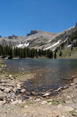 Stella Gölü 'nün ağaçları ve dağ manzarası Büyük Havza Milli Parkı' ndaki Alp Gölü yolunda çekildi. Osceola, Nevada yakınlarında çekilmiş kaliteli bir fotoğraf..