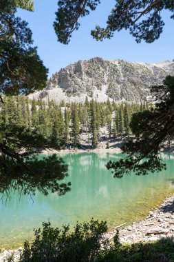 Views of the turquoise Teresa Lake with trees and mountain peeks were taken on the Alpine Lake trail in Great Basin National Park. This is a high-quality photo taken near Osceola, Nevada. clipart