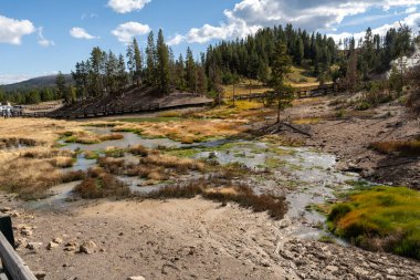 Yellowstone Ulusal Parkı 'ndaki Çamur Volkanı bölgesindeki sıcak kaynak ve akarsuların manzarası. Wyoming 'deki Canyon Village yakınlarında çekilmiş kaliteli bir fotoğraf..