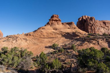 Bu kaliteli fotoğraf, Moab, Utah yakınlarındaki Arches Ulusal Parkı 'ndaki altın saat boyunca kırmızı kayaların ve yeşilliklerin çarpıcı manzarasını gösteriyor..