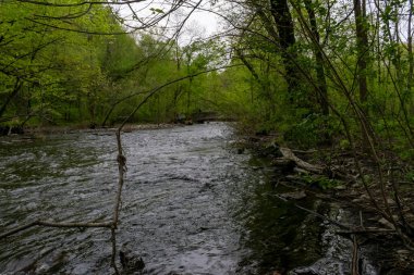 Minnehaha Deresi 'nde, Minneapolis' teki yeşilliklerle çevrili bulutlu bir günde akan su manzarası. Minneapolis, Minnesota 'da yüksek kaliteli bir fotoğraf..