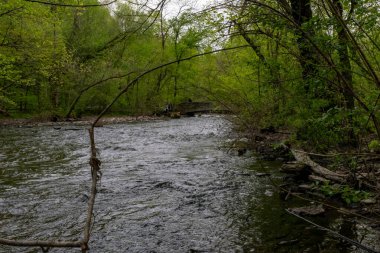 Minnehaha Deresi 'nde, Minneapolis' teki yeşilliklerle çevrili bulutlu bir günde akan su manzarası. Minneapolis, Minnesota 'da yüksek kaliteli bir fotoğraf..