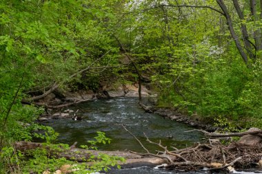 Minnehaha Deresi 'nde, Minneapolis' teki yeşilliklerle çevrili bulutlu bir günde akan su manzarası. Minneapolis, Minnesota 'da yüksek kaliteli bir fotoğraf..