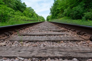Bulutlu bir günbatımında çekilen yeşilliklerle çevrili trenin güzel bir manzarası ufukta beliriyor. Eden Prairie, Minnesota 'daki Birch Island Park' ta çekilmiş kaliteli bir fotoğraf..