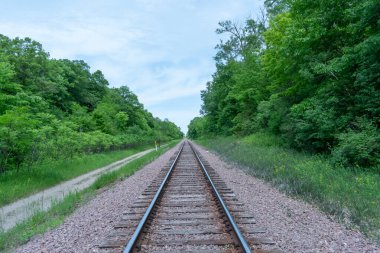 Bulutlu bir günbatımında çekilen yeşilliklerle çevrili trenin güzel bir manzarası ufukta beliriyor. Eden Prairie, Minnesota 'daki Birch Island Park' ta çekilmiş kaliteli bir fotoğraf..