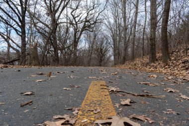 Sonbaharda çimenler, düşen yapraklar ve ağaçlarla çevrili yerel bir Minnesota parkında asfalt bir yürüyüş yolu. Eden Prairie, Minnesota yakınlarında çekilmiş kaliteli bir fotoğraf..