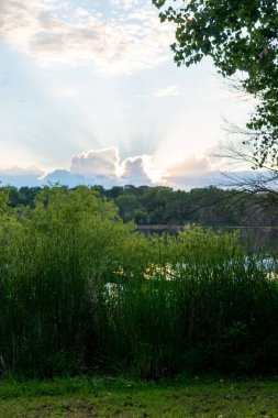 Büyüleyici bir altın saat ve Tanrılar bir sürü yeşil ağaç, çimen ve çalılarla yerel bir Minnesota gölünün üzerinde ışıldıyor. Bu, Eden Prairie, Minnesota yakınlarında çekilmiş kaliteli bir fotoğraf..