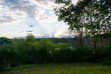 Büyüleyici bir altın saat ve Tanrılar bir sürü yeşil ağaç, çimen ve çalılarla yerel bir Minnesota gölünün üzerinde ışıldıyor. Bu, Eden Prairie, Minnesota yakınlarında çekilmiş kaliteli bir fotoğraf..