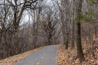 A paved walking path at a local Minnesota park surrounded by grass, fallen leaves, and trees during autumn. A high-quality photo taken near Eden Prairie, Minnesota. clipart