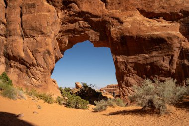 Utah, Arches Ulusal Parkı 'nda güneşli bir günde Pine Tree Kemeri' nin yakın çekim görüntüsü. Bir sürü Redstone, kırmızı kaya ve yeşil çalılı kırmızı kum. Moab, Utah yakınlarında kaliteli bir fotoğraf..