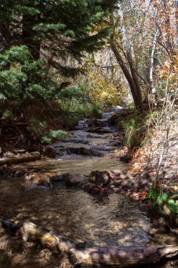 A flowing stream surrounded by fall colors and greenery up in Millcreek Canyon, Utah. A high-quality photo taken near Salt Lake City, Utah. clipart