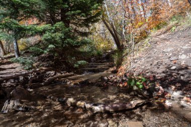 A flowing stream surrounded by fall colors and greenery up in Millcreek Canyon, Utah. A high-quality photo taken near Salt Lake City, Utah. clipart