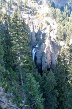 Tower Fall in Yellowstone National Park. The waterfall cascades down rocky cliffs, surrounded by lush pine trees, creating a breathtaking natural scene highlighting the parks stunning beauty. clipart