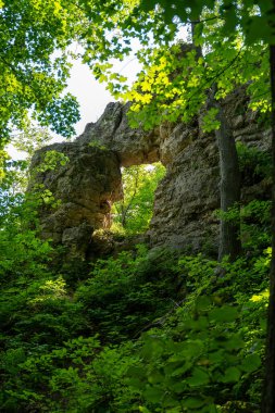 Doğal kaya kemeri Frontenac State Park, Minnesota 'da yemyeşil ile çevrili. Sahne, parkın doğal güzelliğini ve sükunetini yakalıyor. Kemer, canlı yeşilliklerle çerçeveleniyor..