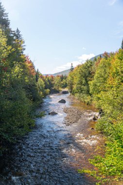 Zealand Nehri, New Hampshire 'daki White Mountain Ulusal Ormanı' ndaki Sugarloaf Dağı yakınlarındaki yemyeşil ormandan akıyor. Nehir canlı yaprakların arasından esiyor, doğal güzellikleri sergiliyor..