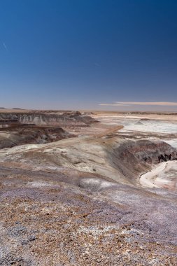 Arizona, Petrified Forest Ulusal Parkı 'ndaki Mavi Orman Yürüyüşü boyunca uzanan kurak ve katmanlı arazinin geniş bir görüntüsü eşsiz jeolojik oluşumları ve geniş çöl manzaralarını vurguluyor..