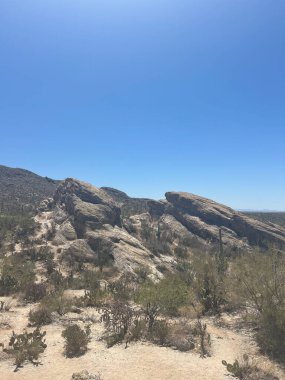 Büyük, yıpranmış kaya oluşumları Arizona, ABD 'deki Saguaro Ulusal Parkı' nın çorak arazisine hakim. Açık mavi gökyüzünün altındaki kayaların etrafında çöl bitkileri yetişiyor..