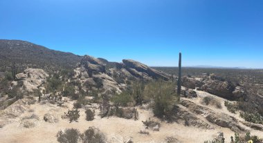 Panoramik bir manzara, Saguaro kaktüsü ve diğer çöl bitkilerinin açık mavi bir gökyüzü altında Saguaro Ulusal Parkı, Arizona, ABD 'nin kurak arazisinde büyük kaya oluşumlarını gösterir..