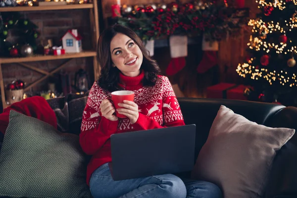 Portrait of charming minded lady sit sofa hold coffee mug wireless netbook imagine x-mas fairy indoors.
