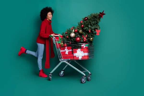 Full body profile portrait of excited positive girl push market trolley look empty space isolated on green color background.