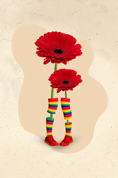 Retrato Colagem Vertical Duas Pernas Flores Vermelhas Meias Coloridas Longas — Fotografia de Stock