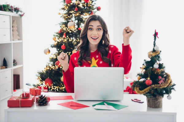 stock image Photo of cheerful overjoyed lady sitting comfortable workspace table rejoice successful work enjoy lovely work handmade toys shop.