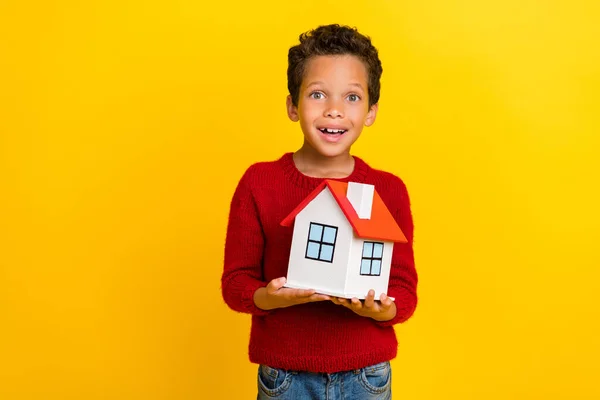 Foto Porträt Von Entzückenden Kleinen Jungen Aufgeregt Halten Mini Haus — Stockfoto