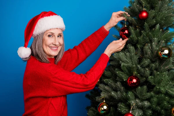 Profile photo of optimistic white hairdo old lady decorate tree wear red pullover cap isolated on blue color background.