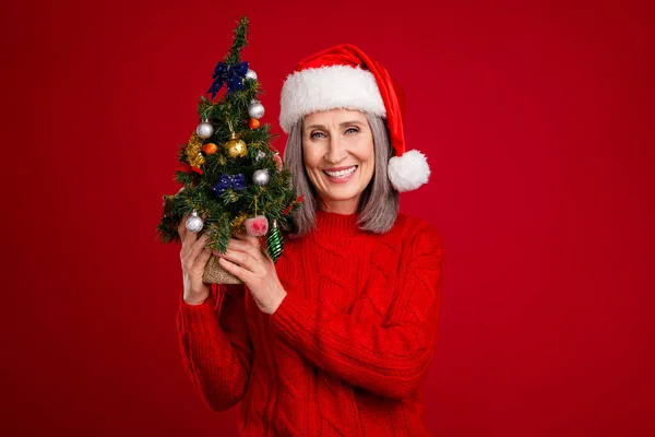 Фото Позитивного Мрійливого Санта Клауса Бабуся Тримає Дерево Декору Носити — стокове фото