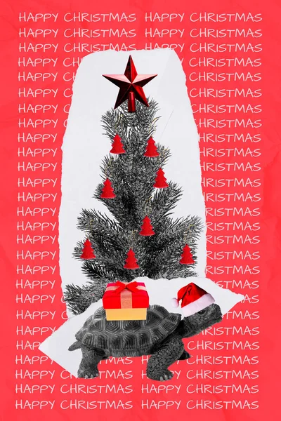 크리스마스 장식을 상록수 크리스마스 거북이 천천히 움직이고 포스터 — 스톡 사진
