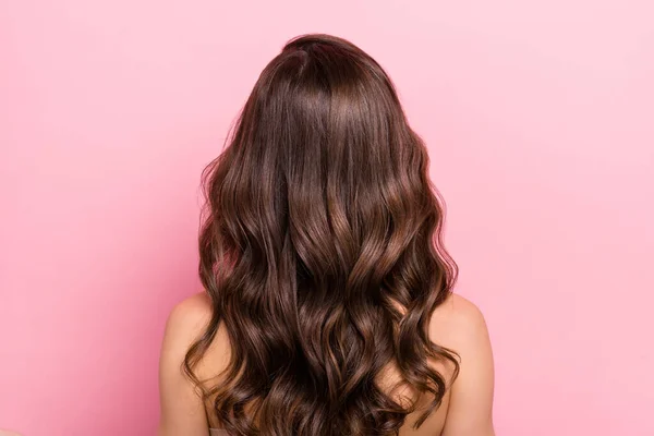 Traseiro Atrás Visão Retrato Atraente Menina Cabelos Ondulados Brilhar Hairdress — Fotografia de Stock