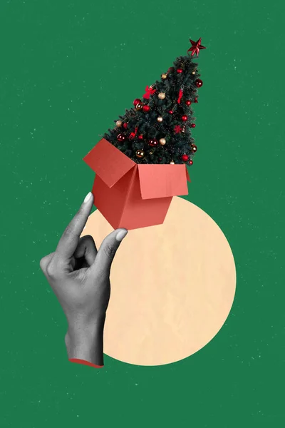 黑白相间手指头的垂直拼贴图上有创意背景的小圣诞树盒 — 图库照片