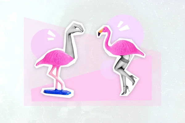 Composite Collage Von Zwei Flamingo Schwarz Weißen Gamma Händen Statt — Stockfoto
