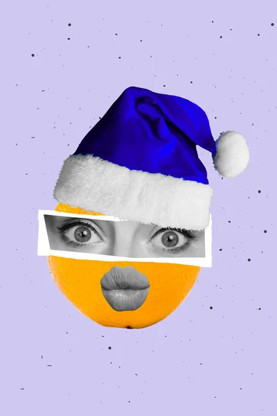 柑橘类植物的艺术杂志图片 滑稽女士的眼睛 圣诞帽 袋状丰满的嘴唇 孤立的图画背景 — 图库照片