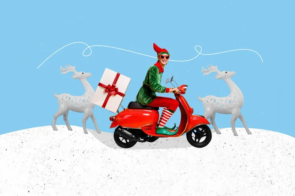 Collage Obraz Pinup Pop Retro Szkic Funky Zabawny Elf Dostarczanie — Zdjęcie stockowe