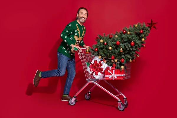Full length portrait of funny person walk push market trolley presents evergreen tree isolated on red color background.