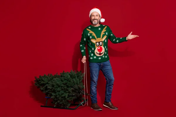 Full body photo of positive man pull newyear tree sledge prepare party isolated on red color background.