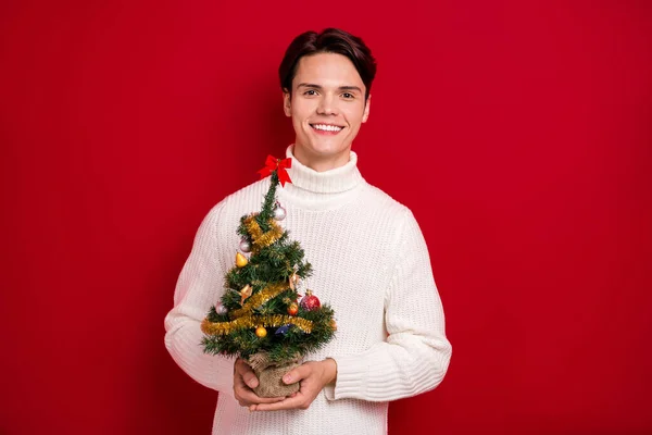 正の若い男の写真歯の笑顔腕は赤い色の背景に隔離された小さな装飾されたお祝いの木を保持 — ストック写真