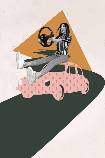 Vertikální Plakát Koláž Lady Drive Caar Černobílý Filtr Izolované Malování — Stock fotografie