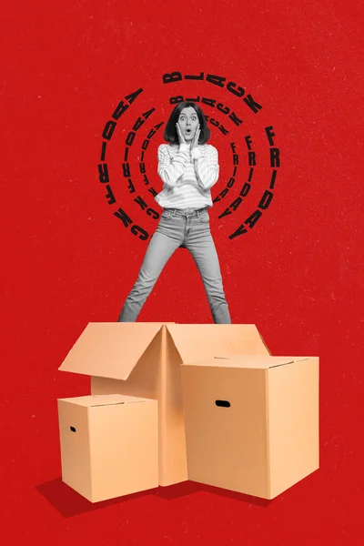 ミニチュアの垂直コラージュ画像感銘を受けた黒白効果の女の子大きなカートンボックス黒金曜日注文配達は赤の背景に隔離 — ストック写真
