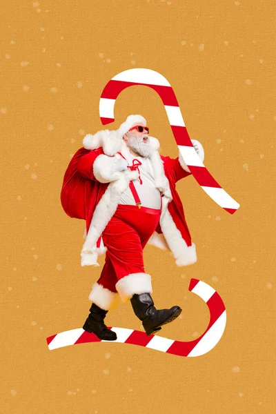 Рождественский Коллаж Смешных Святых Николас Доставить Много Желаний Подарки Мешок — стоковое фото