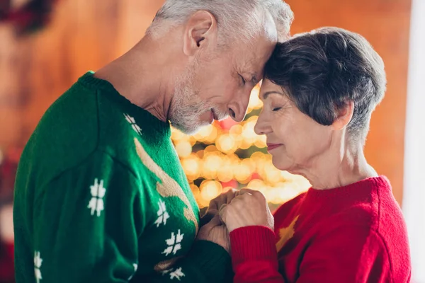 2人の穏やかな年金受給者のサイドプロフィール写真恋人閉じた目の手のタッチホールド一緒に身に着けているクリスマス暖かいセーター牧歌的な愛屋内 — ストック写真