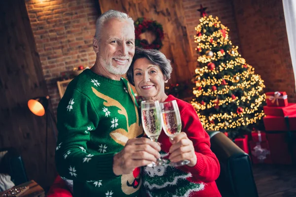 Portrait of two positive people hug clink champagne glass festive tree garland comfort atmosphere indoors.