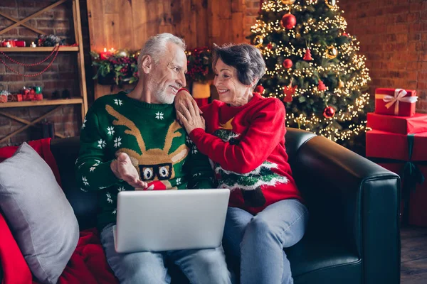 ソファに座っている2人の穏やかな牧歌的な高齢者の写真使用ネットブックのホッピング抱擁は室内で常緑樹の庭の装飾を話す — ストック写真