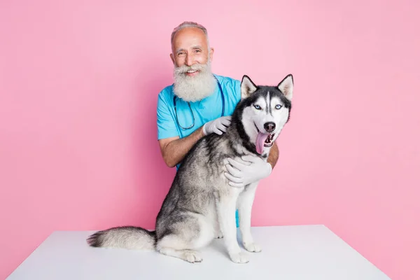Φωτογραφία Του Χαμογελαστού Θετικού Ηλικιωμένου Κτηνίατρου Φορούν Μπλε Στολή Αγκαλιάζει — Φωτογραφία Αρχείου