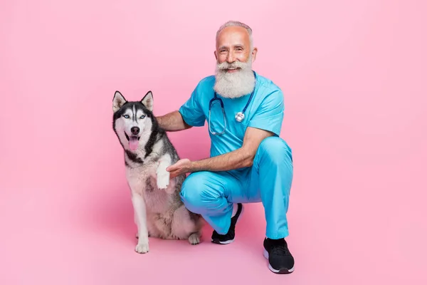 Full Size Photo Husky Sitting Professional Veterinarian Wear Blue Uniform — Stock Photo, Image