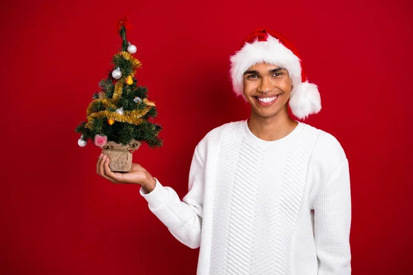 年轻有趣的圣徒妮可拉斯身穿白色套头衫 手持常绿的小圣诞树 上面有红色背景的装饰品 — 图库照片