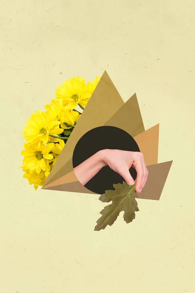 コラージュ写真の概念的なアイデア手ホールド古い葉近く美しい黄色新鮮な束Gerberaのためにガールフレンド秋の季節隔離された上ベージュの背景 — ストック写真